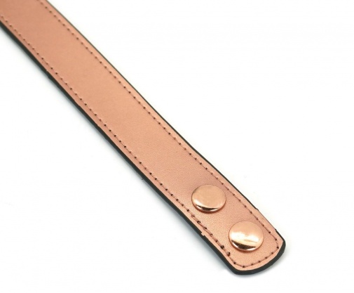 Liebe Seele - Rose Gold Collar w Nipple Clamps photo