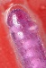 A-Toys - Celiam Flexible Dildo 20.5cm - Purple photo-12