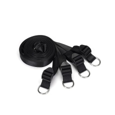 Liebe Seele - Under Bed Restraint System w Rings - Black photo