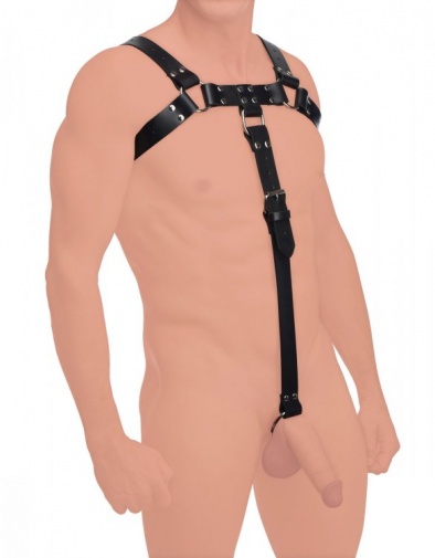 Strict Leather - English Bull Dog Harness w/Cock Strap - Black photo