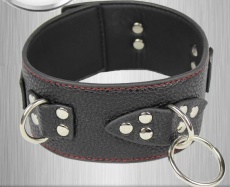 XFBDSM - Leather Collar photo