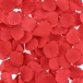 Lovers Premium - Bed of Roses - Red photo-2