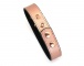 Liebe Seele - Rose Gold Collar w Nipple Clamps photo-4