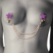 Coquette - Chic Desire Nipple Clamps - Gold photo-2