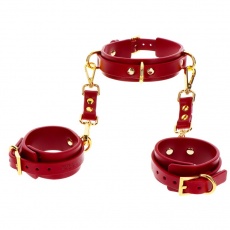 Taboom - D-Ring Collar w Wrist Cuffs - Red photo