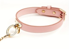 MT - Collar w Leash - Pink 照片