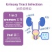 Exacto - Urinary Infections 3 Band - 3 Test/ Box photo-2