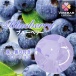 SSI - Vibe Bar 藍莓口味潤滑劑 - 180ml 照片-4