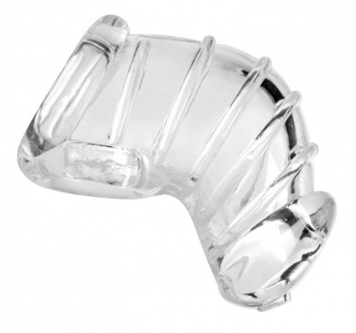 Master Series - Detained Soft Body Chastity Cage - Clear photo