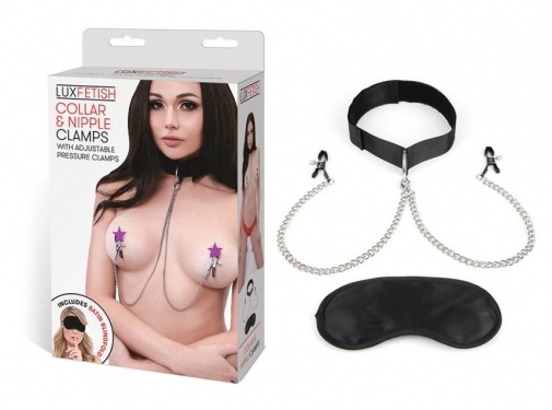 Lux Fetish - Collar and Nipple Clips photo