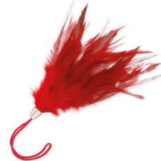 Darkness - Feather 17cm - Red photo