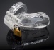 FAAK - Short Whale Chastity Cage - Clear photo-5