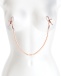 NS Novelties - Bound DC1 Nipple Chain Clamps - Rose Gold photo-2