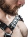 Mister B - Leather X-Back Harness - Black - L/XL photo-3