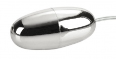 CEN - Pocket Exotics Vibro Bullet - Silver photo