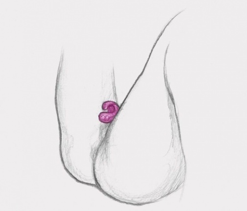 Gvibe - Gring 手指震動器 - 莓粉色 照片