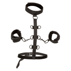 CEN - Boundless 颈圈连肢体拘束 - 黑色 照片